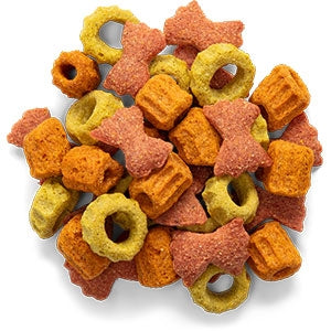 Real Reward Large Parrot Treats Orchard Mix 170 g