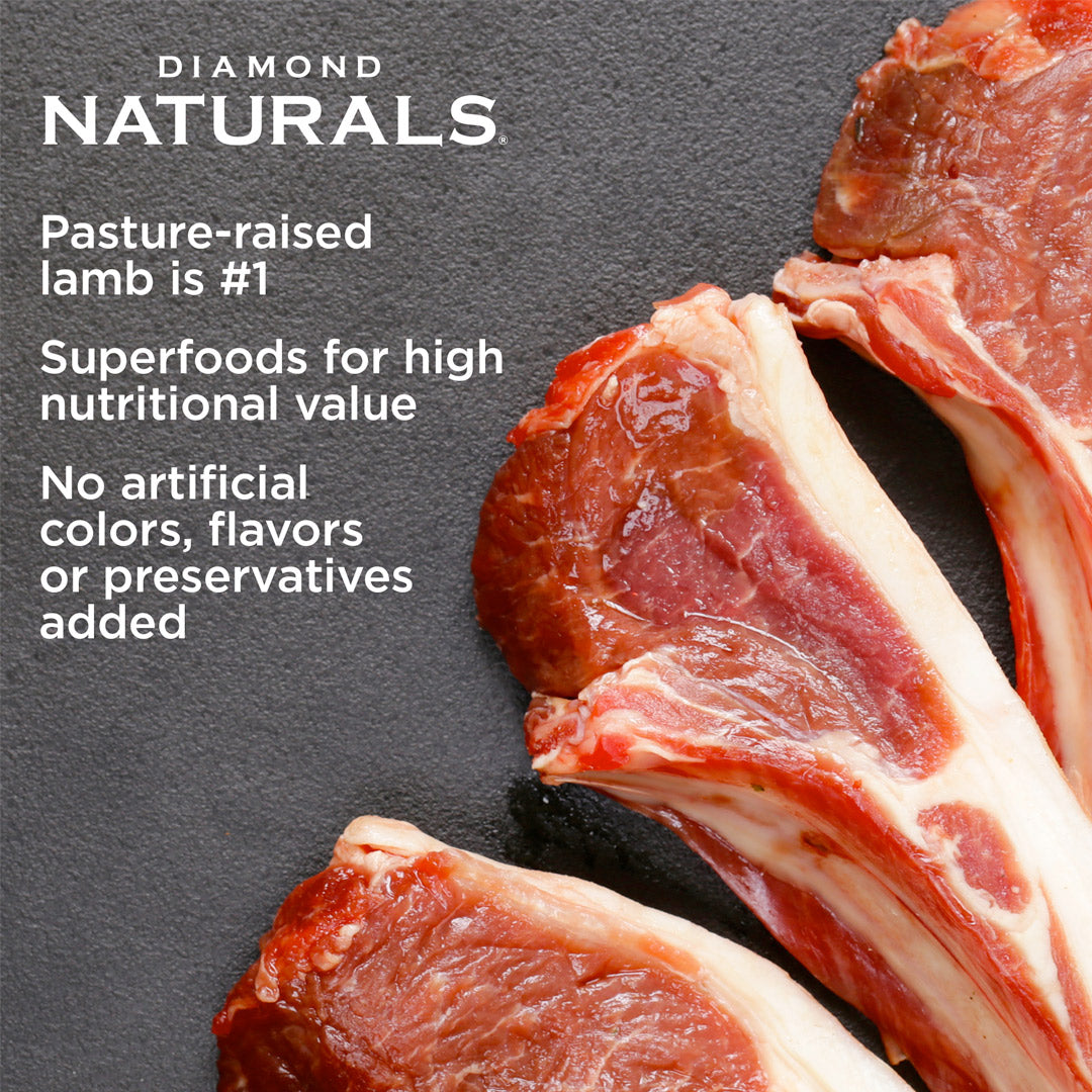 Diamond Naturals Large Breed Puppy Lamb & Rice Formula