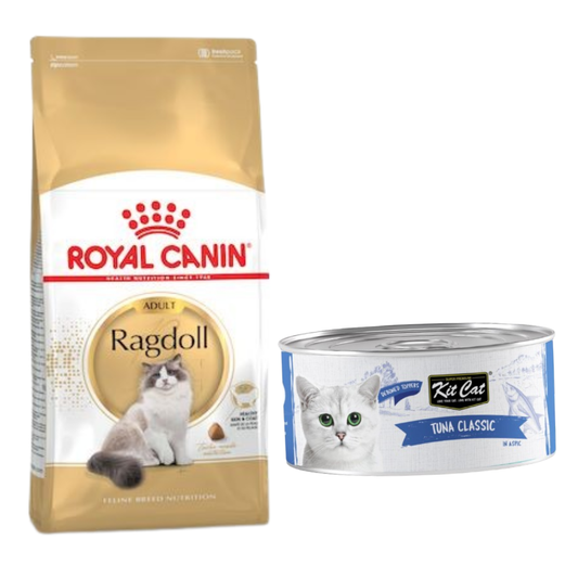 Royal Canin Feline Breed Nutrition Ragdoll Adult 2kg + Kit Cat Tuna Classic 80g