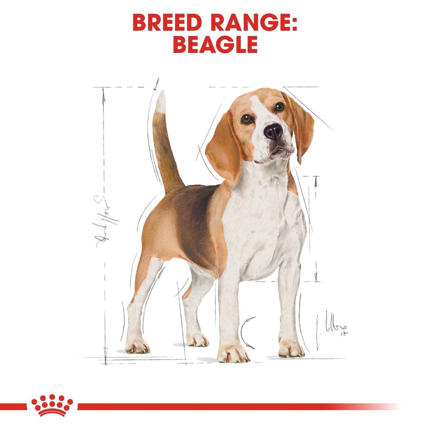 Royal Canin Breed Health Nutrition Beagle Adult 3 kg