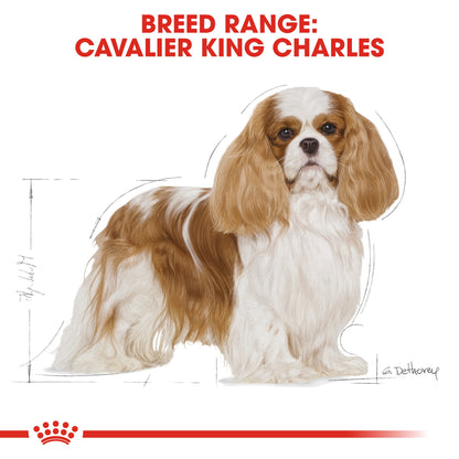 Royal Canin Breed Health Nutrition Cavalier King Charles Adult 1.5 kg