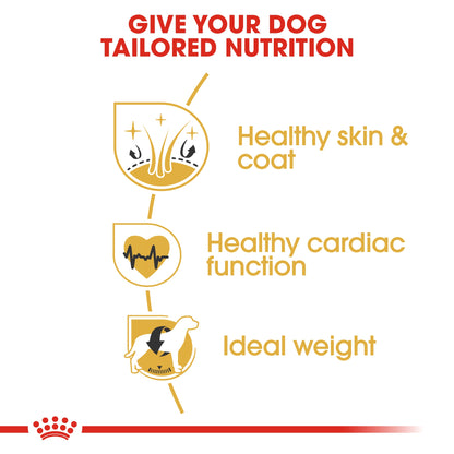 Royal Canin Breed Health Nutrition Golden Retriever Adult 12 kg