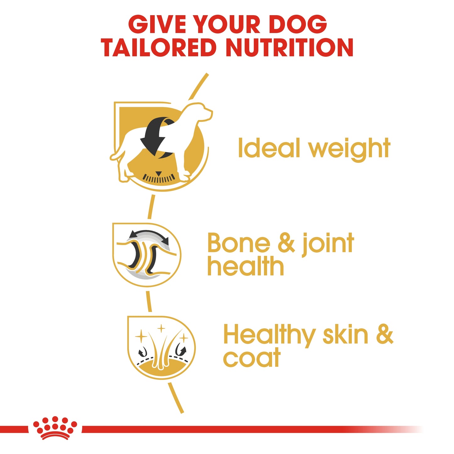 Royal Canin Breed Health Nutrition Labrador Adult 3 kg