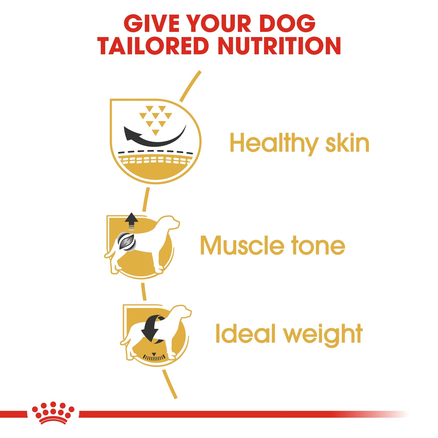 Royal Canin Breed Health Nutrition Pug Adult 1.5 kg