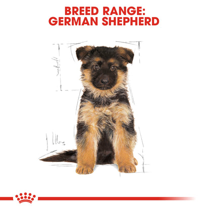 Royal Canin Breed Health Nutrition German Shepherd Puppy 12 kg