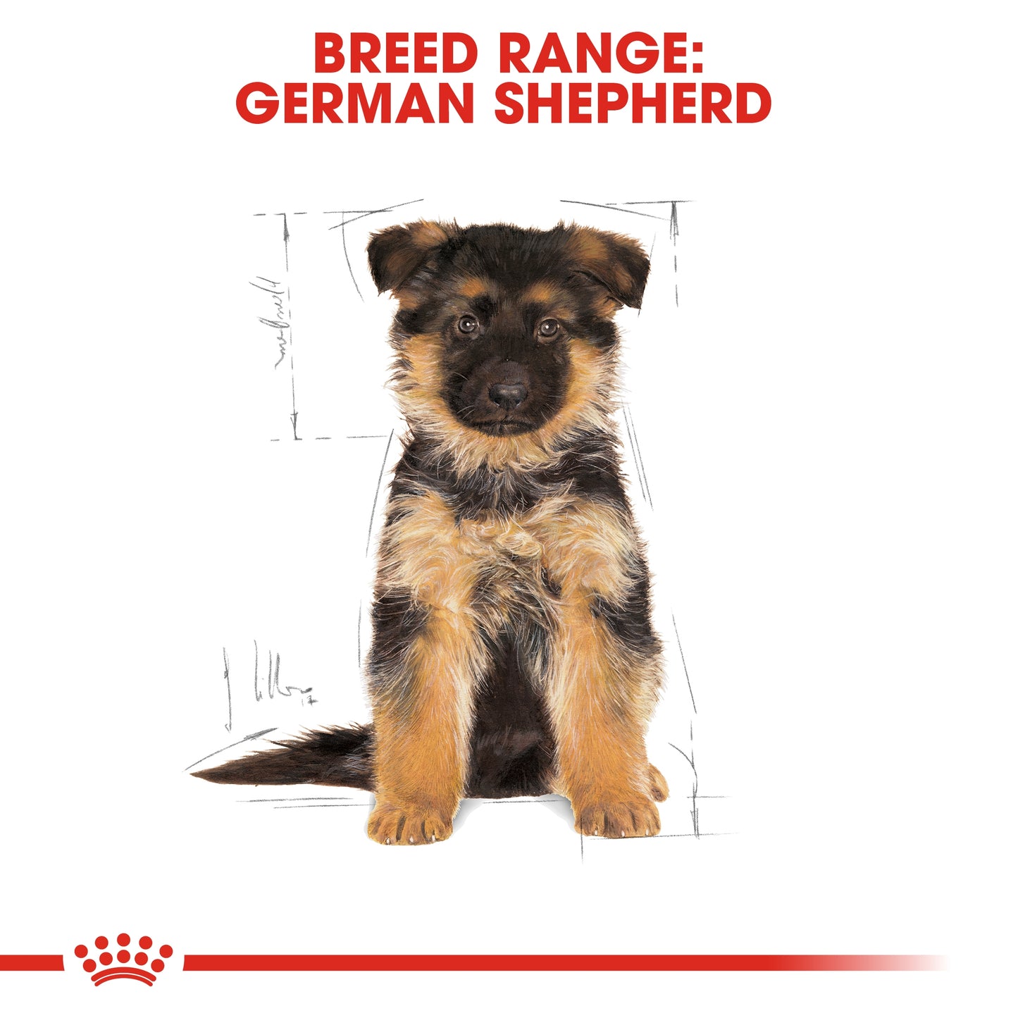 Royal Canin Breed Health Nutrition German Shepherd Puppy 3 kg