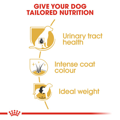 Royal Canin Breed Health Nutrition Miniature Schnauzer Adult 3 kg