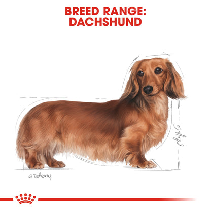 Royal Canin Breed Health Nutrition Dachshund Adult (Wet Food   Pouches) 12 x 85 g `