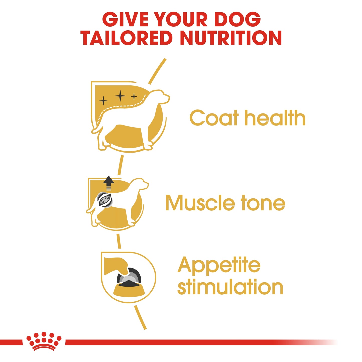 Royal Canin Breed Health Nutrition Poodle Adult (Wet Food   Pouches) 12 x 85 g