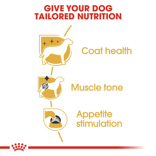 Royal Canin Breed Health Nutrition Poodle Adult (Wet Food   Pouches) 12 x 85 g