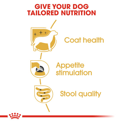 Royal Canin Breed Health Nutrition Yorkshire Adult (Wet Food   Pouches) 12 x 85 g