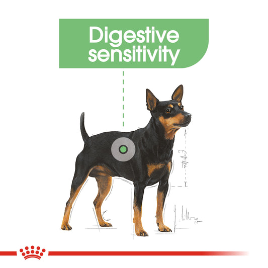 Royal Canin Canine Care Nutrition Mini Digestive Care 3 kg