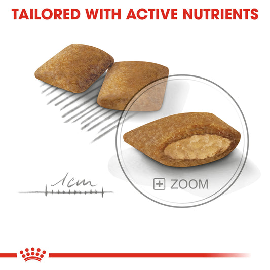 Royal Canin Canine Care Nutrition Exigent Mini 3 kg