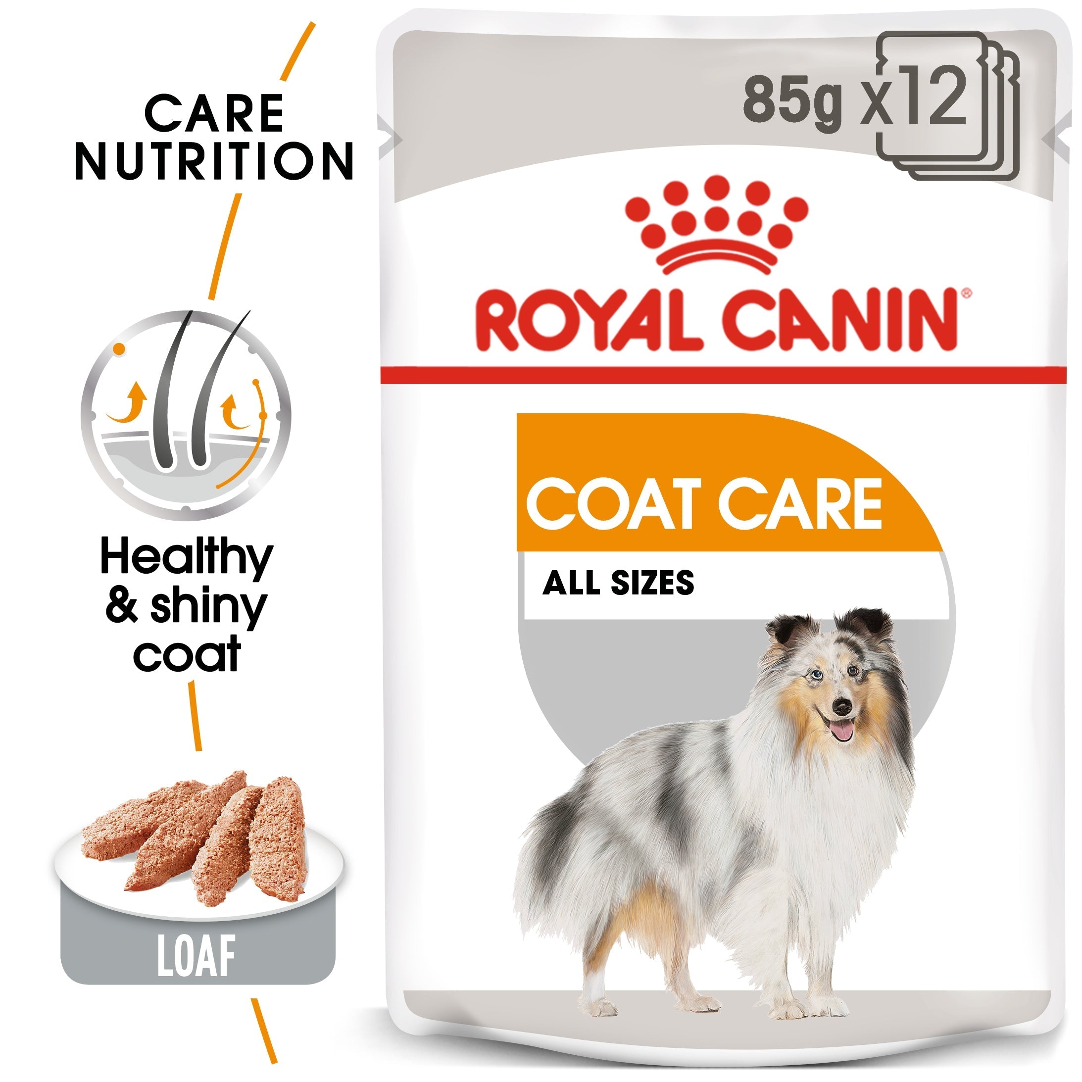 Royal Canin Canine Care Nutrition Coat Care (1 Wet Food Pouch) 1 x 85 g