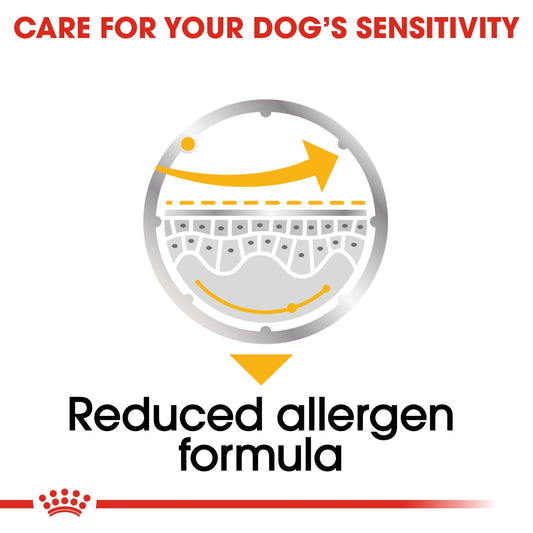 Royal Canin Canine Care Nutrition Dermacomfort (Wet Food   Pouches) 12 x 85 g