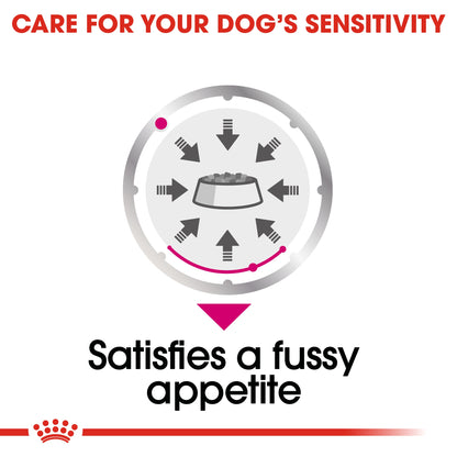 Royal Canin Canine Care Nutrition Exigent (Wet Food  Pouches) 12 x 85 g