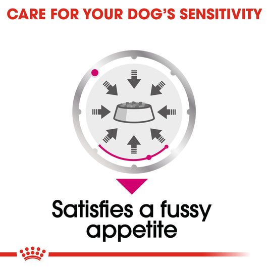 Royal Canin Canine Care Nutrition Exigent (Wet Food  Pouches) 12 x 85 g