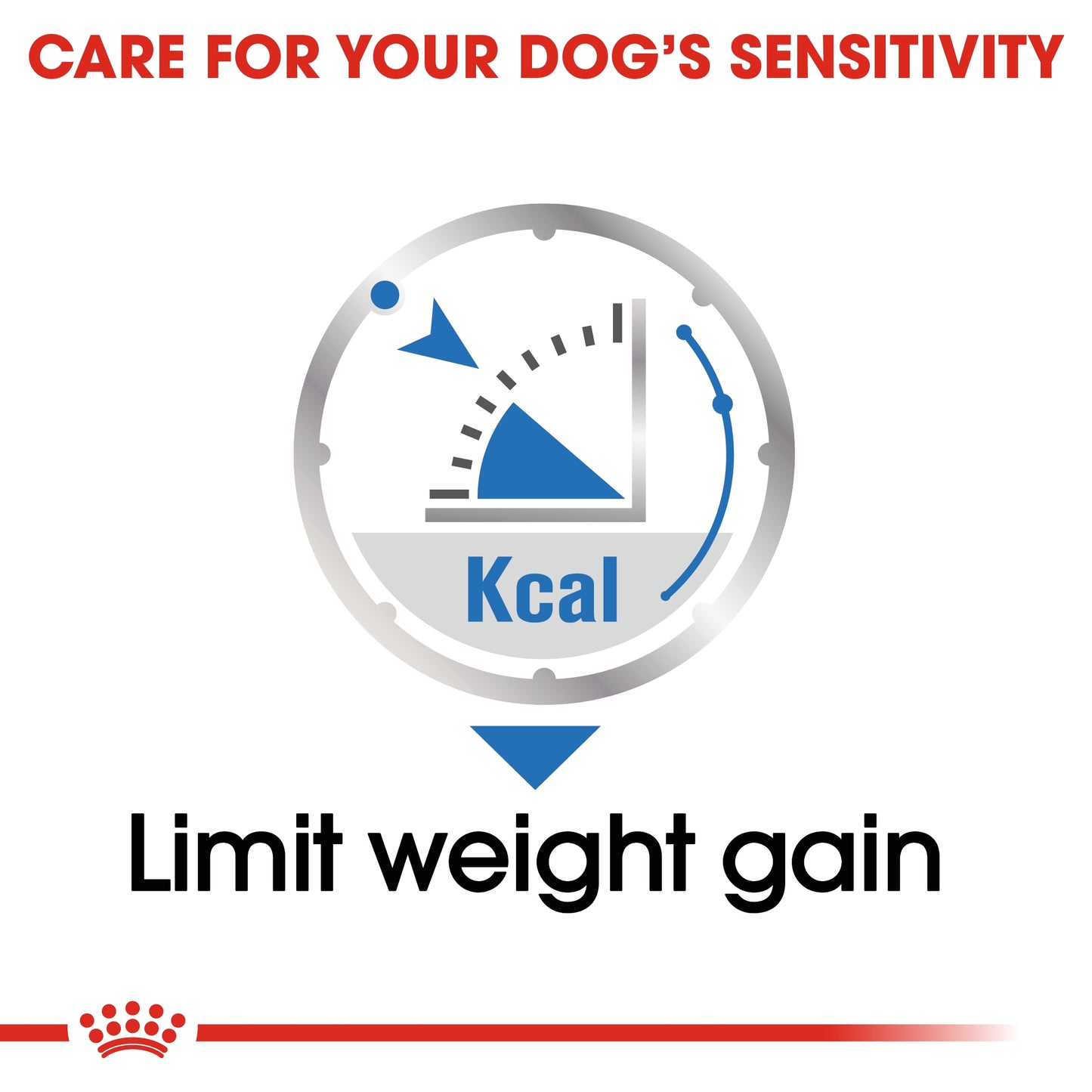 Royal Canin Canine Care Nutrition Light Weight Care (Wet Food   Pouches) 12 x 85 g