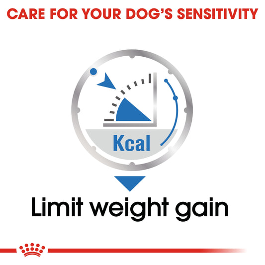 Royal Canin Canine Care Nutrition Light Weight Care (Wet Food   Pouches) 12 x 85 g
