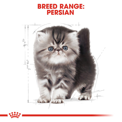 Royal Canin Feline Breed Nutrition Persian Kitten 2 kg