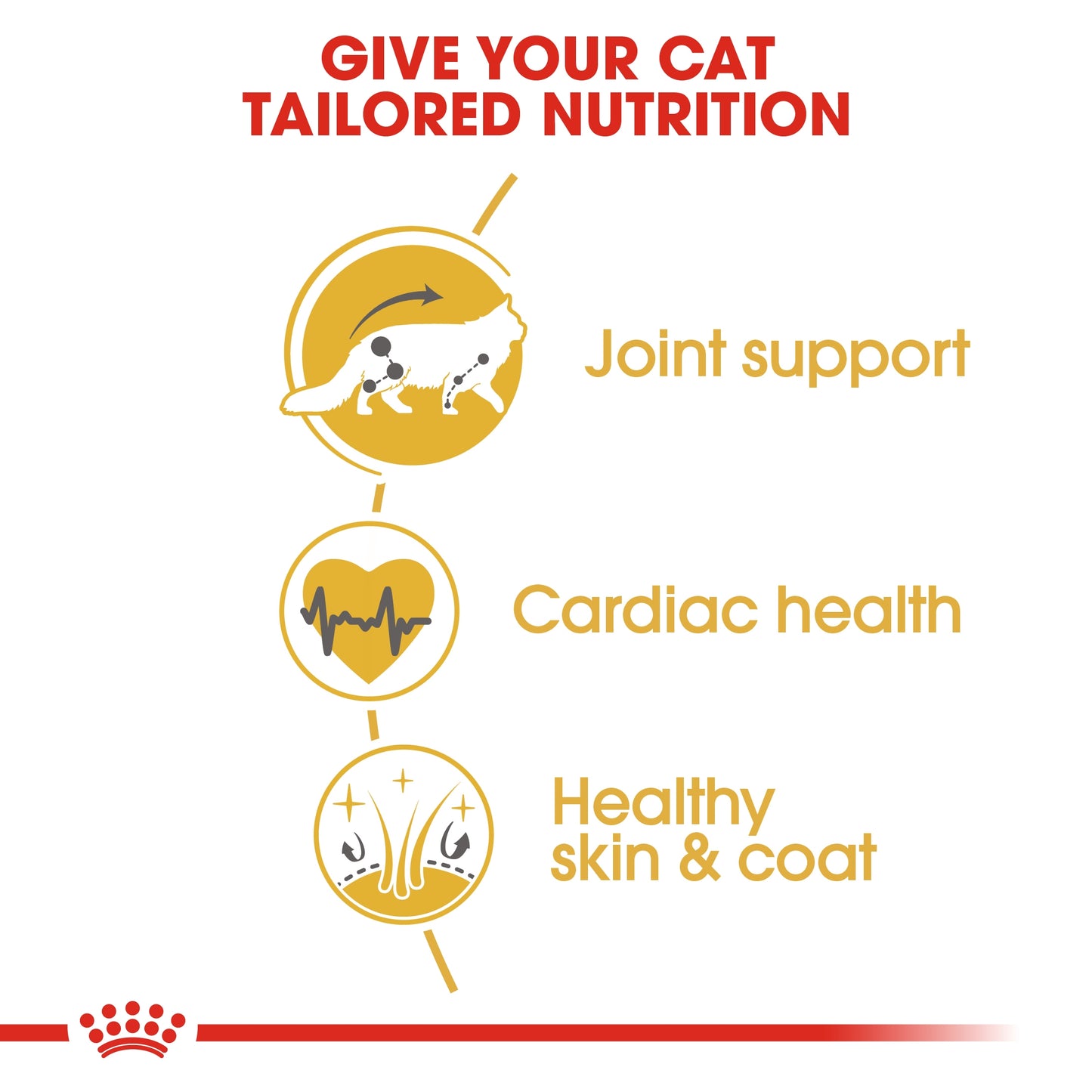 Royal Canin Feline Breed Nutrition Maine Coon Adult 2 kg