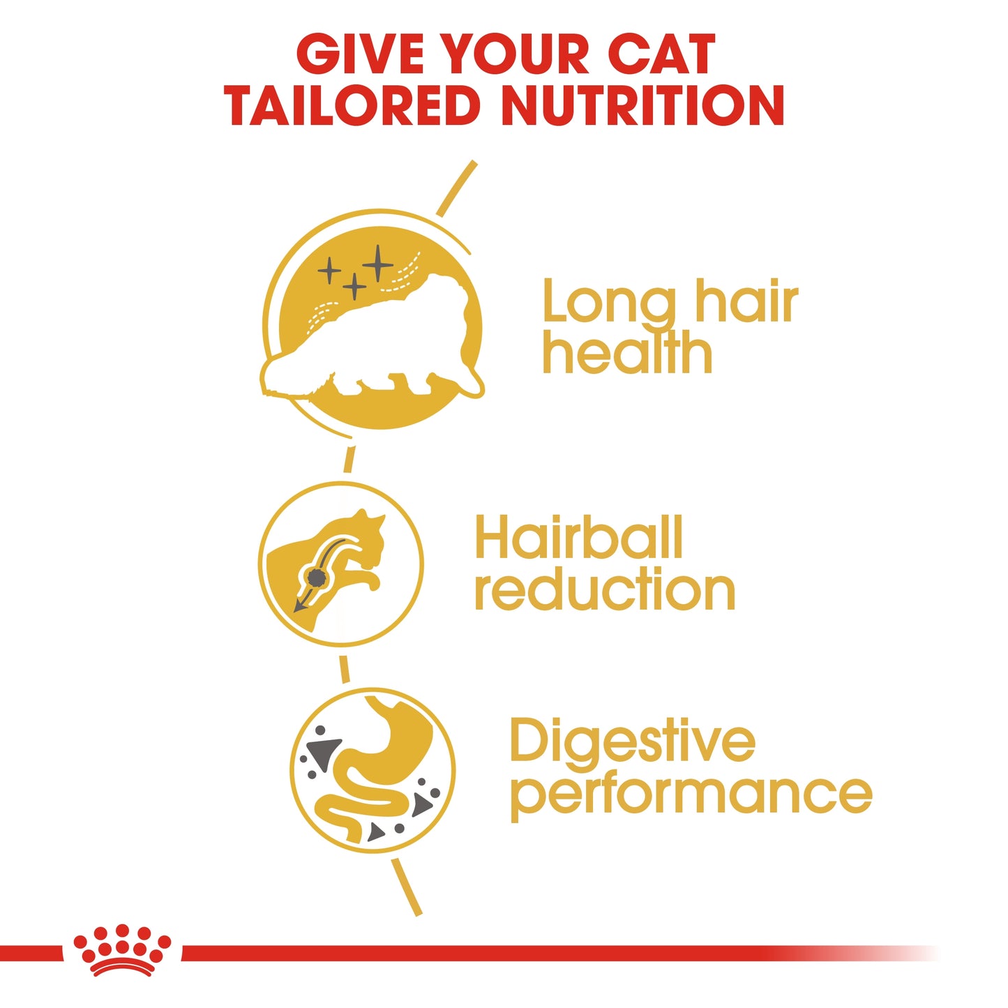 Royal Canin Feline Breed Nutrition Persian Adult 4 kg