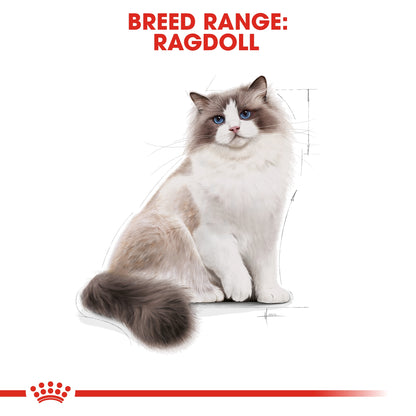 Royal Canin Feline Breed Nutrition Ragdoll Adult 2 kg