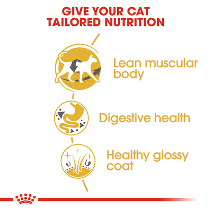 Royal Canin Feline Breed Nutrition Siamese Adult 2 kg