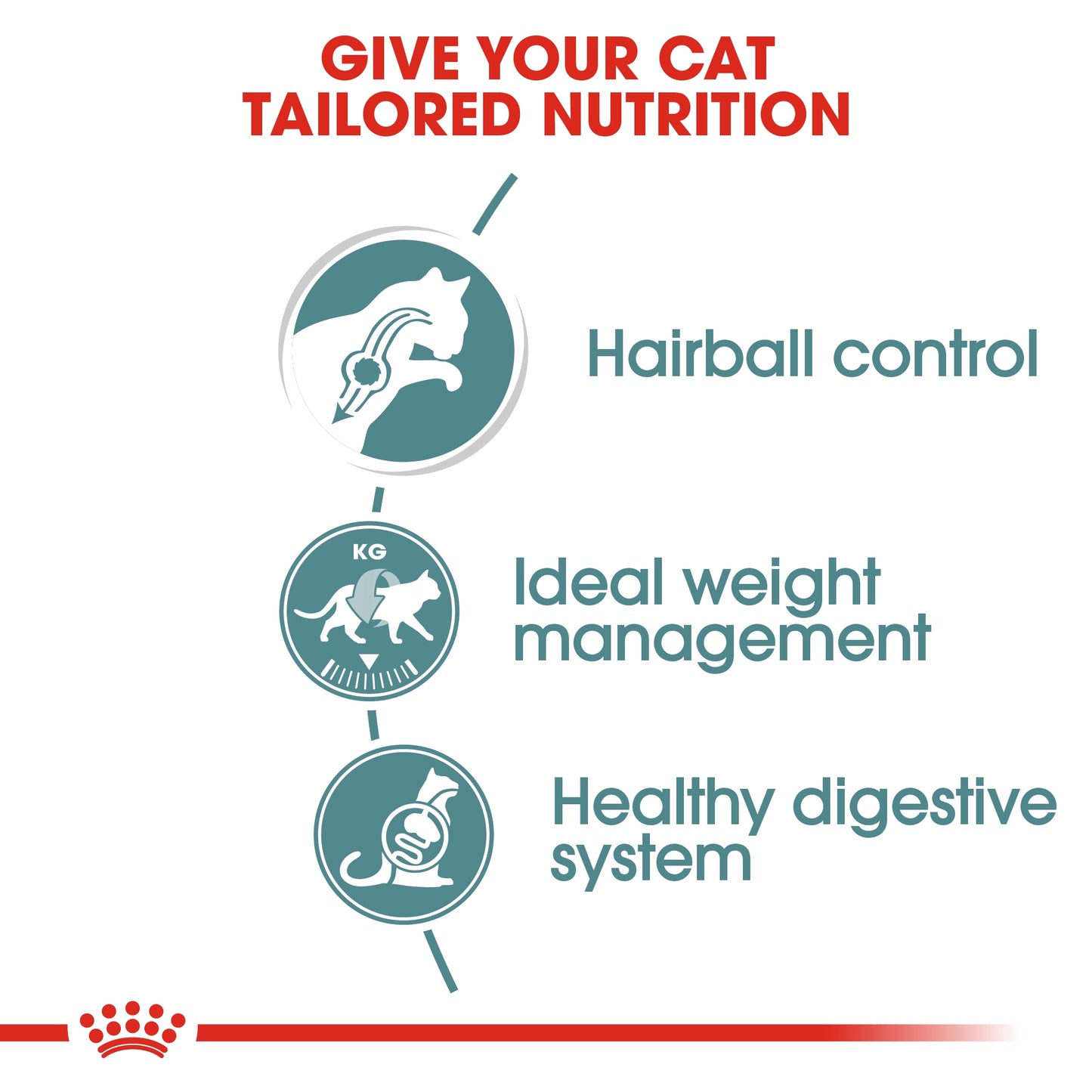 Royal Canin Feline Care Nutrition Hairball Gravy (Wet Food   Pouches) 12 x 85 g