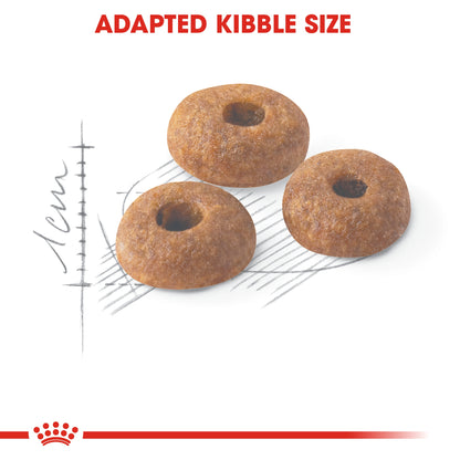 Royal Canin Feline Health Nutrition Fit 32   10 kg