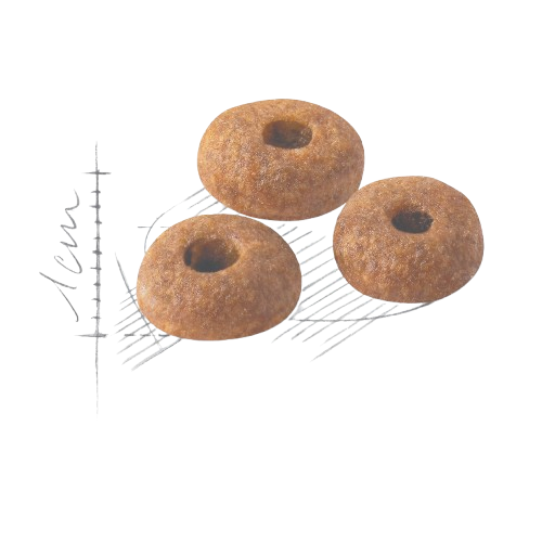 Royal Canin FIT 32 - 12kg Special Pack