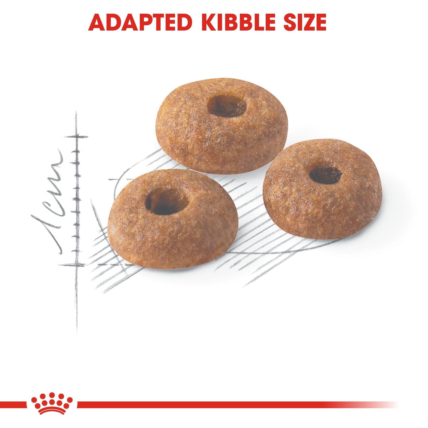 Royal Canin Feline Health Nutrition Fit 32   4 kg