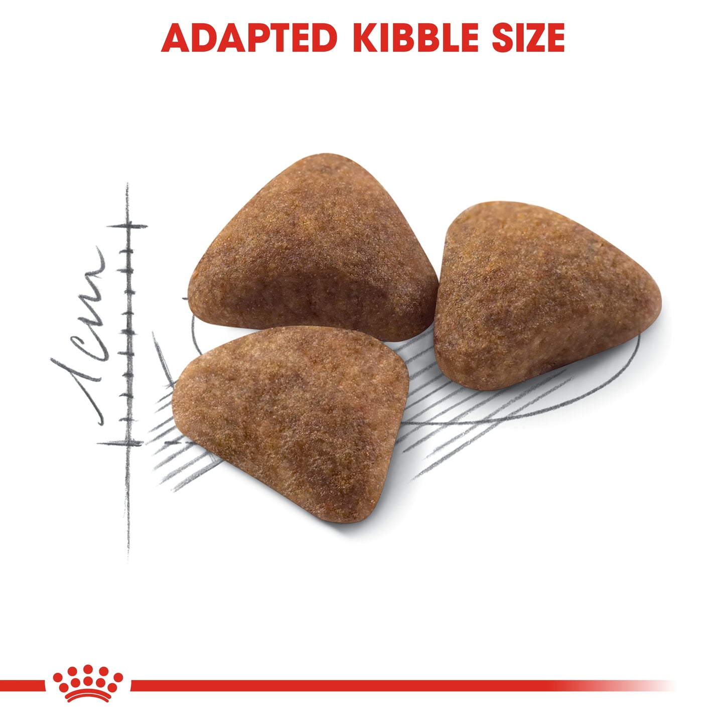Royal Canin Feline Health Nutrition Indoor 4 kg
