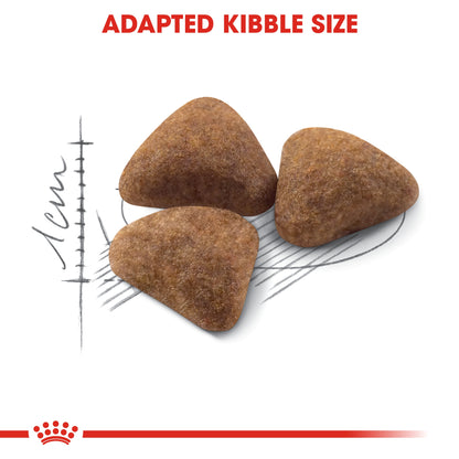 Royal Canin Feline Health Nutrition Indoor 400 g
