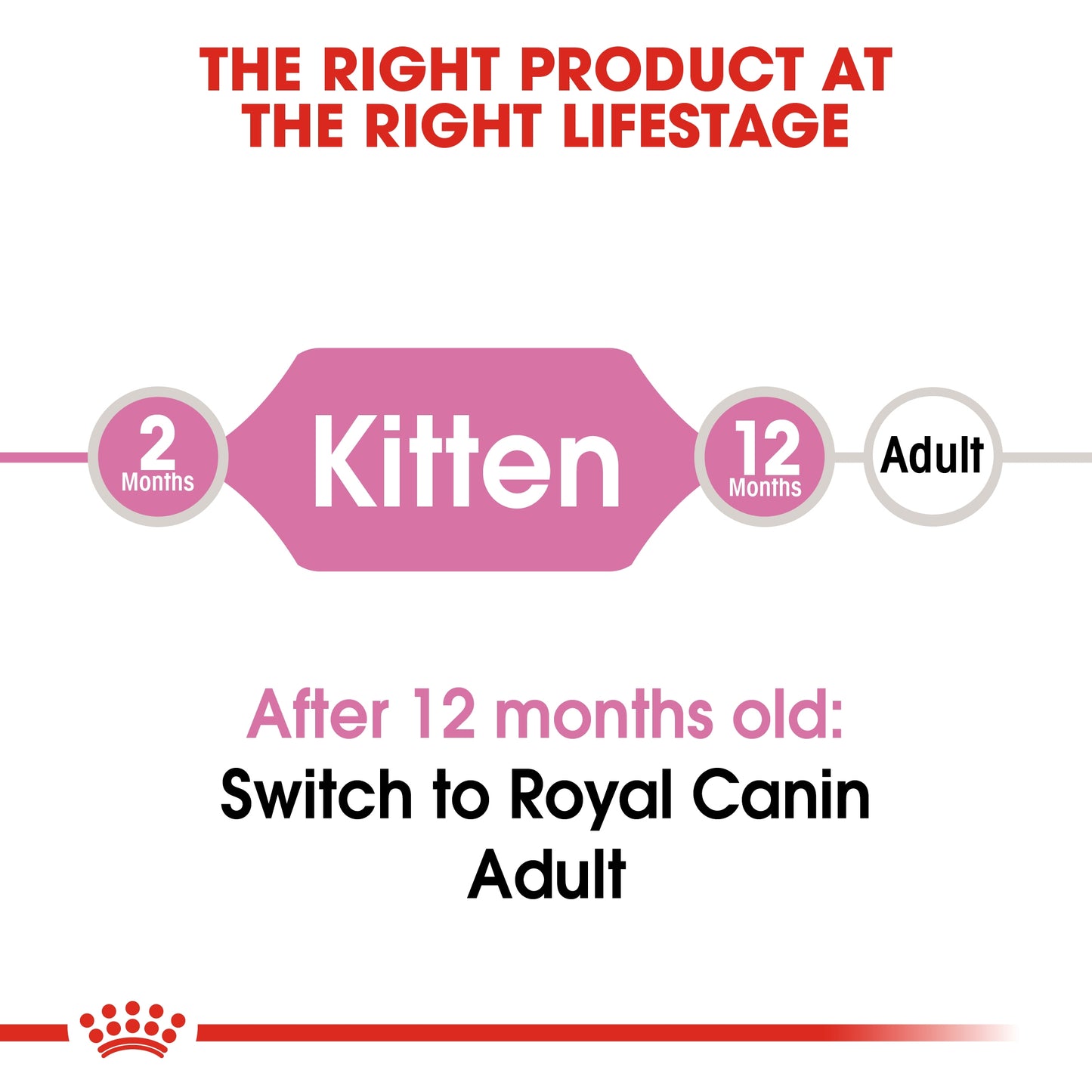 Royal Canin 10 kg Feline Health Nutrition Kitten