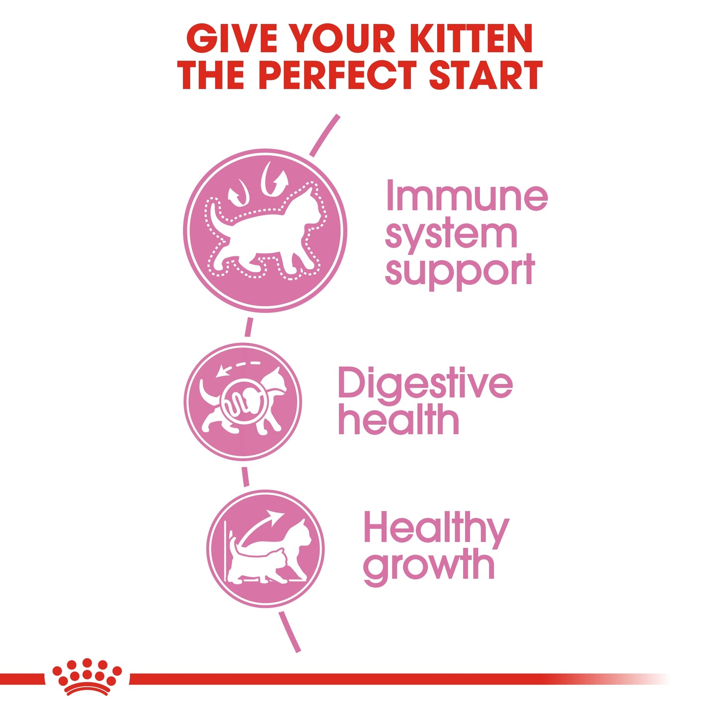 Royal Canin Feline Health Nutrition Kitten 10kg + FREE Pet Carrier (Transportino Gipsy Plastic Door)