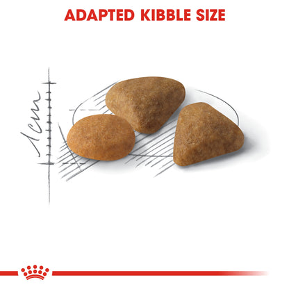 Royal Canin Feline Health Nutrition Exigent Savour 10 kg