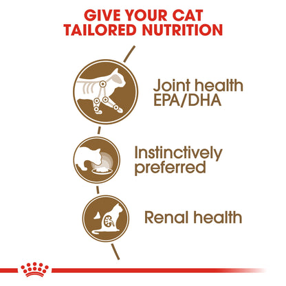 Royal Canin Feline Health Nutrition Ageing 12+ Jelly (Wet Food   Pouches) 12 x 85 g