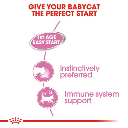 Royal Canin Feline Health Nutrition Mother & Babycat Mousse (Wet Food   Cans) 12 x 195 g