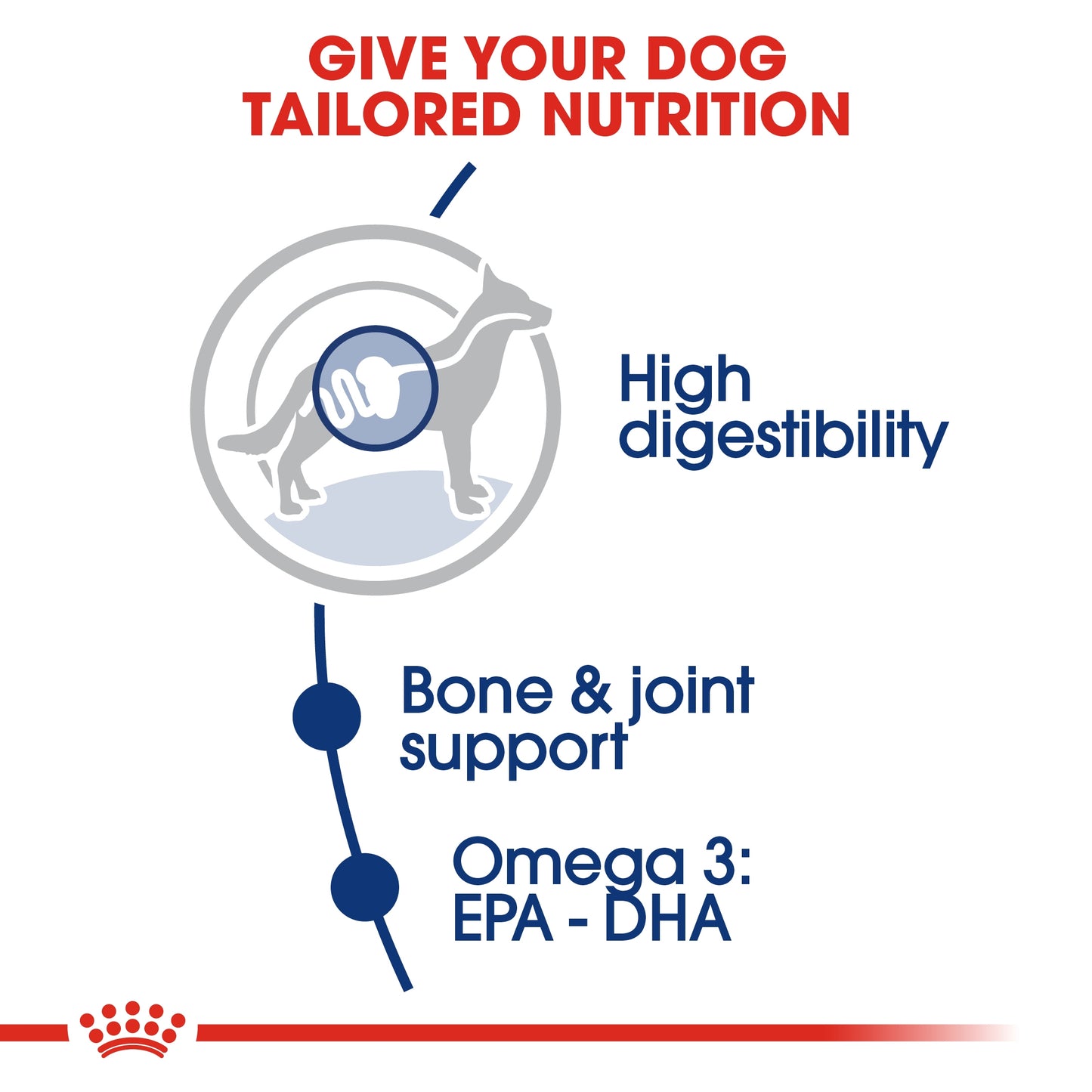 Royal Canin Size Health Nutrition Maxi Adult 4 kg