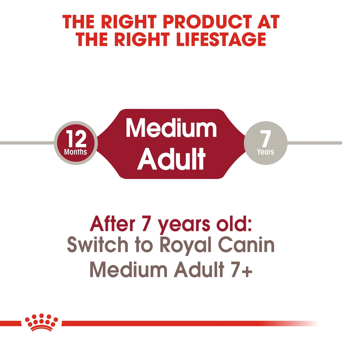 Royal Canin Size Health Nutrition Medium Adult 10 kg