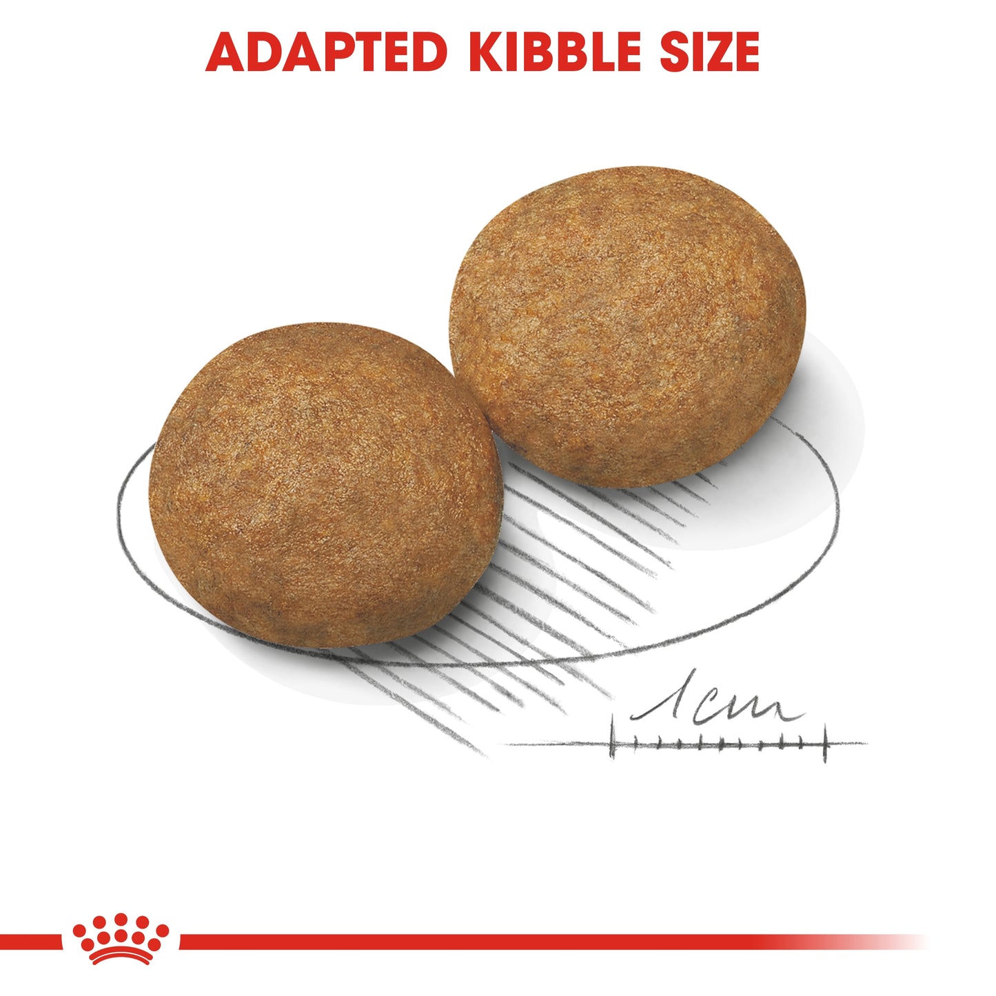 Royal Canin Size Health Nutrition Medium Adult 10 kg
