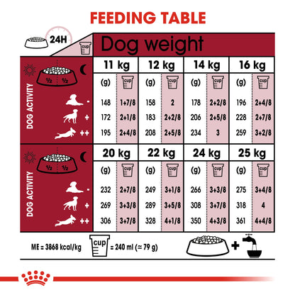 Royal Canin Size Health Nutrition Medium Ageing 10+ 3 kg