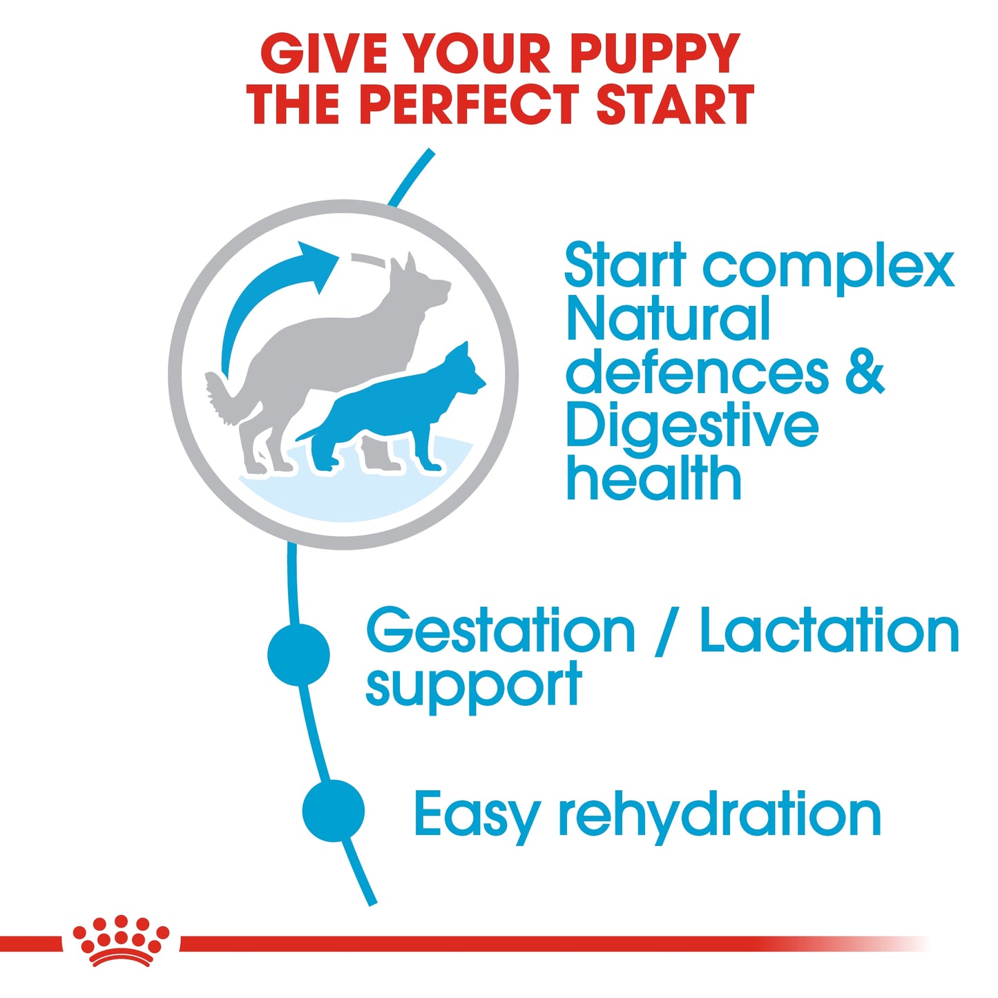 Royal Canin Size Health Nutrition Maxi Starter 15 kg