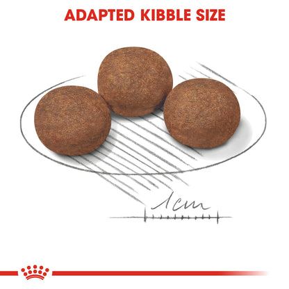 Royal Canin Size Health Nutrition Medium Puppy 10 kg
