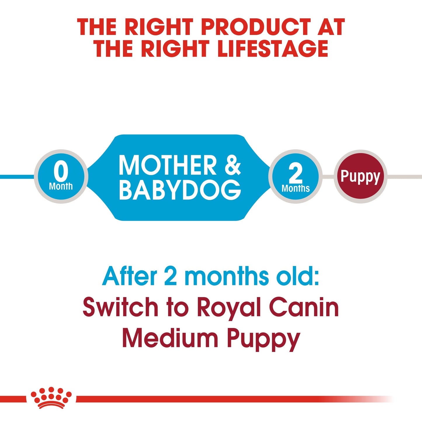 Royal Canin Size Health Nutrition Medium Starter 4 kg