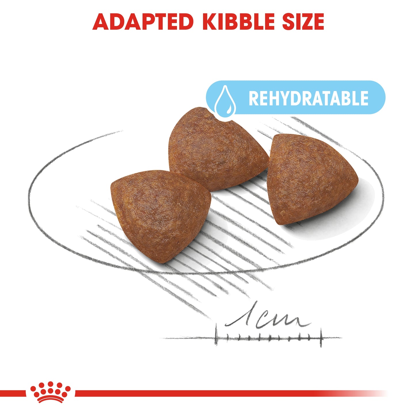Royal Canin Size Health Nutrition Medium Starter 4 kg