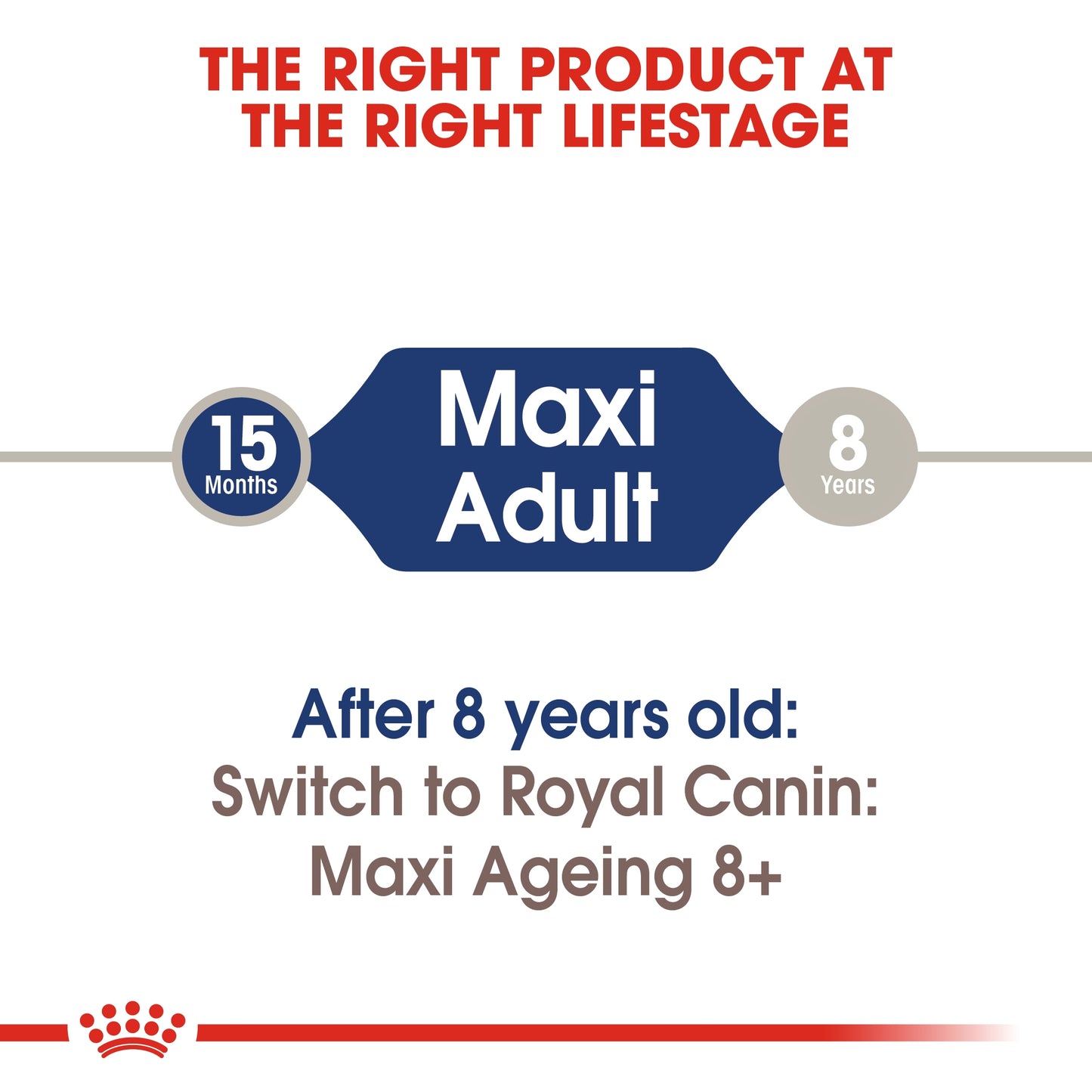 Royal Canin Size Health Nutrition Maxi Adult (Wet Food   Pouches) 10 x 140 g