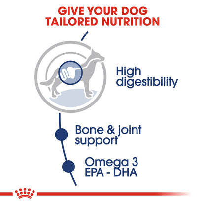 Royal Canin Size Health Nutrition Maxi Adult (Wet Food   Pouches) 10 x 140 g
