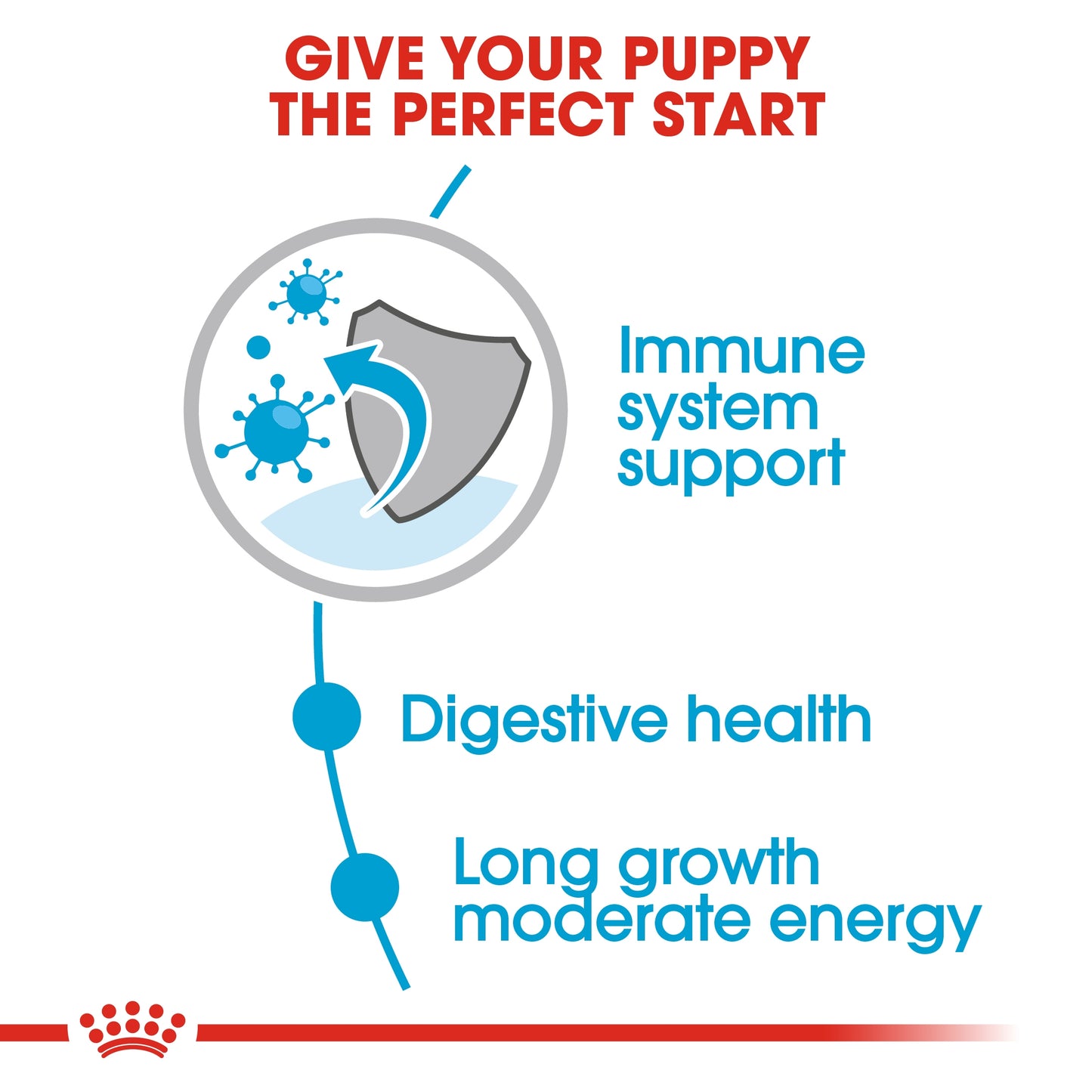 Royal Canin Size Health Nutrition Maxi Puppy (Wet Food   Pouches) 10 x 140 g